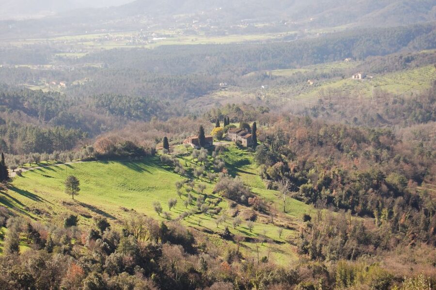 Lucca: Self-Guided Bike Tour to the Wine Roads - Villa country gives way to vineyards