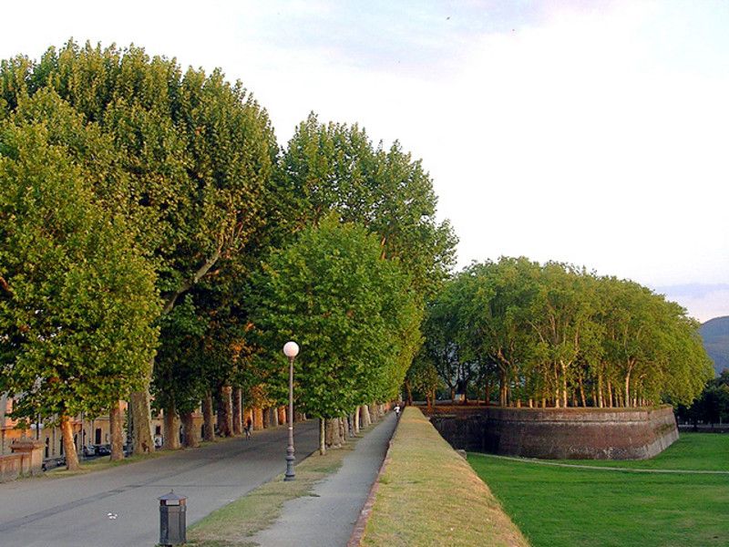 Lucca Sightseeing Tour by E-bike or City bike - Piazza San Michele and Lucca’s Roman center