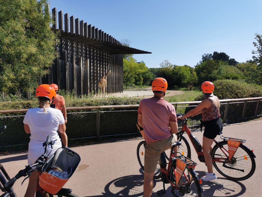 Lyon: 2-Hour Electric Bike Tour with a Local Guide - Key points to know before you book