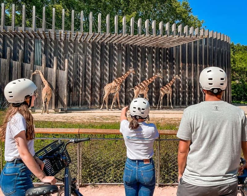 Lyon: Guided City Bike Tour - Confluence: Lyon’s modern southern edge