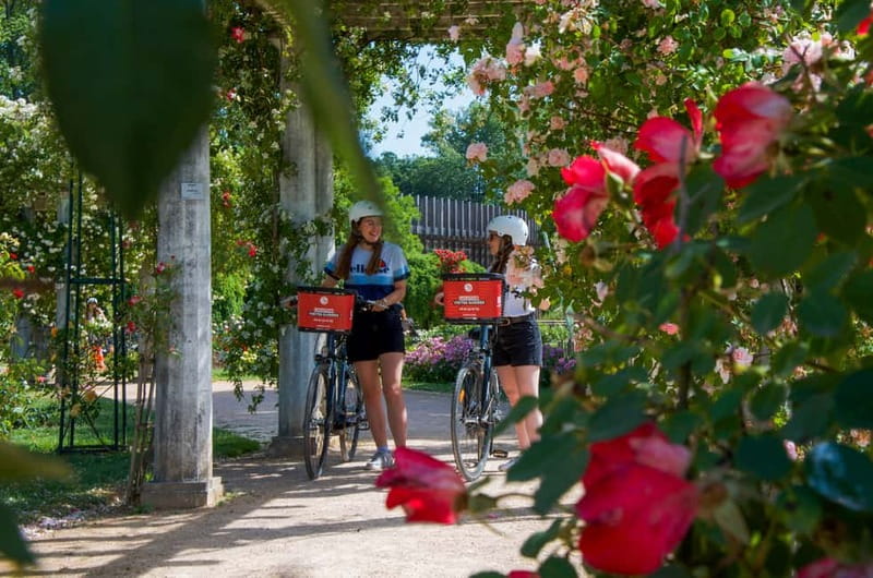 Lyon's must-sees by electric bike - Key points before you book