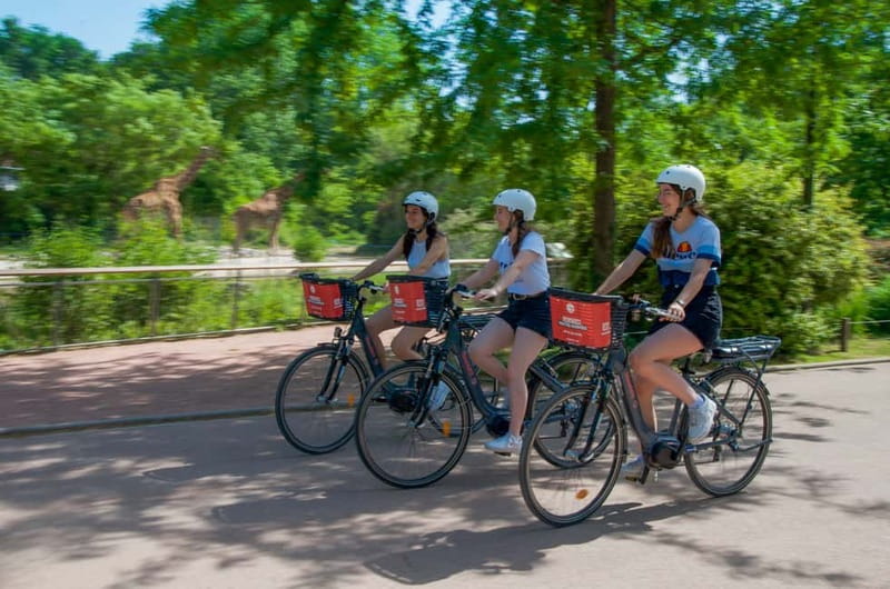 Lyon's must-sees by electric bike - Forty-five minutes in Parc de la Tête d’Or