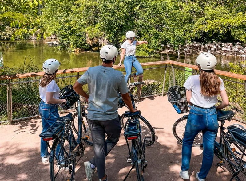 Lyon: Tête d'Or park on an electric bike Tour - Returning Along the Saône to Old Lyon