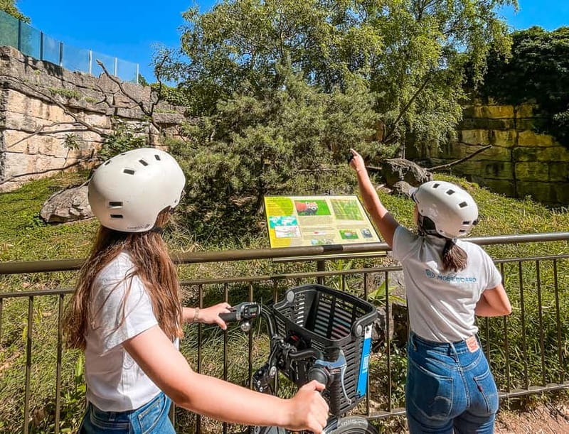 Lyon: Tête d'Or park on an electric bike Tour - Smart Tips for a Comfortable Ride