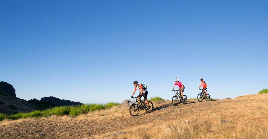 Madeira Botanical Levels Bike Tour – Scenic Trail Experience - Following the levada at about 850 meters