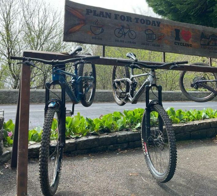 Madeira Botanical Levels Bike Tour – Scenic Trail Experience - Camacha and the last 10 kilometers downhill