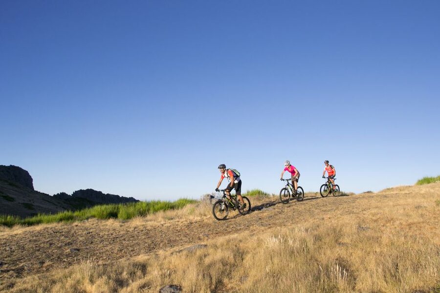 Madeira Botanical Levels Bike Tour – Scenic Trail Experience - Forest trails, berries, and Madeira’s changing weather