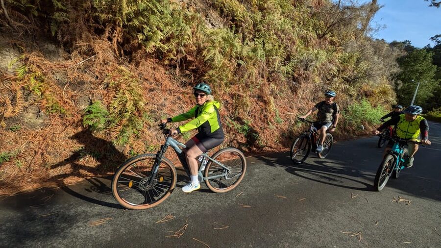Madeira West coast: Guided Sightseeing E-Bike Tour - Miradouro do Fio is the visual high point