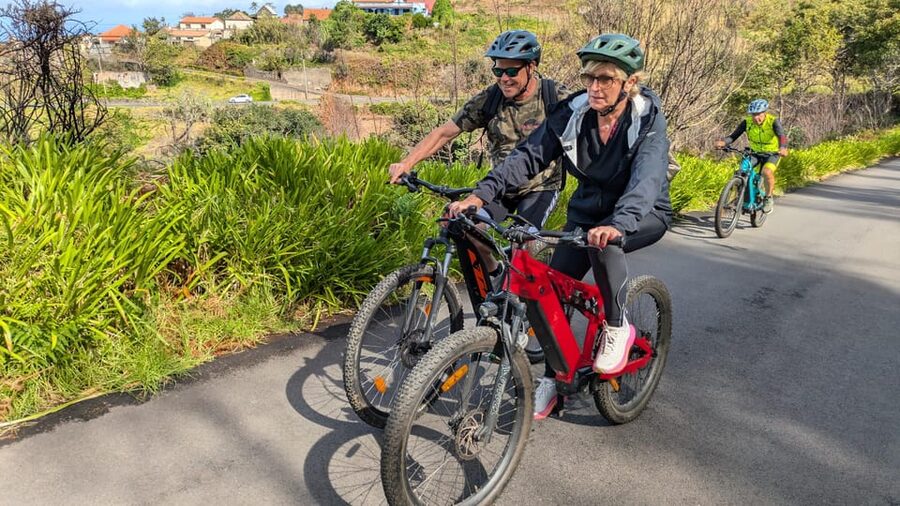 Madeira West coast: Guided Sightseeing E-Bike Tour - Bikes, guides, and group size