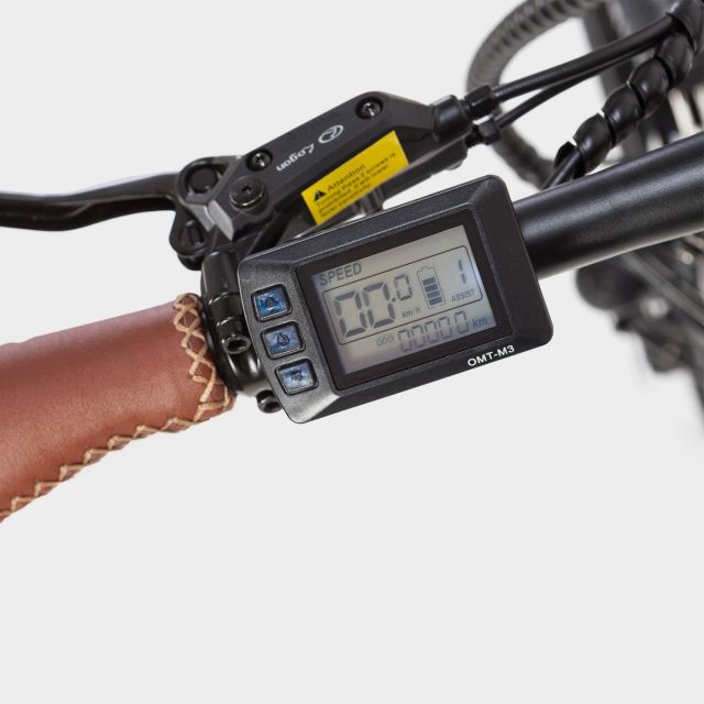 Madrid: Guided Electric Bike Tour. City center & Retiro Park - Beginning at All Ways Madrid