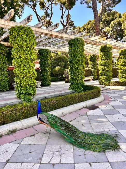 Madrid: Magic Retiro Park Bike Tour - Key things to know before you book