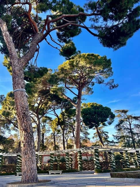 Madrid: Magic Retiro Park Bike Tour - The Parterre and Retiro Pond