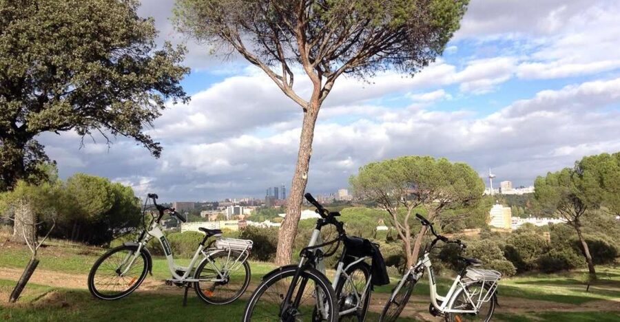 Madrid’s River Side & Casa de Campo Electric Bike Tour - From Plaza Mayor to the Royal Palace