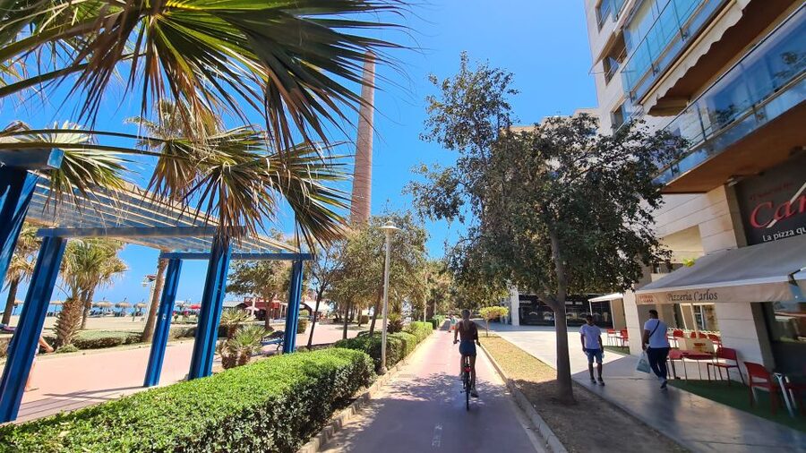 Malaga: City Bike Rental with Self-Guided Cycling Route - The Guadalhorce bridge and its bird-filled lagoons