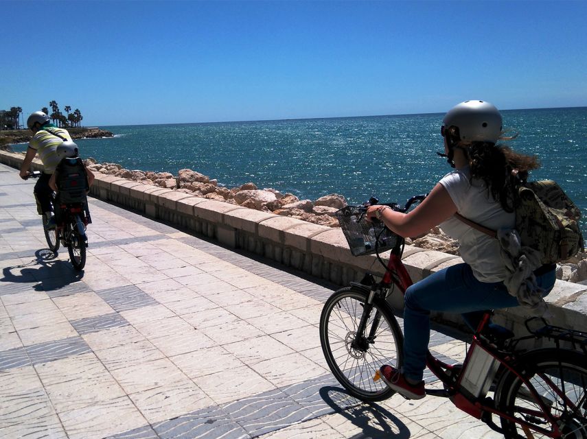 Málaga E-Bike Tour with Full Day Rental - What the $59 Price Really Gets You