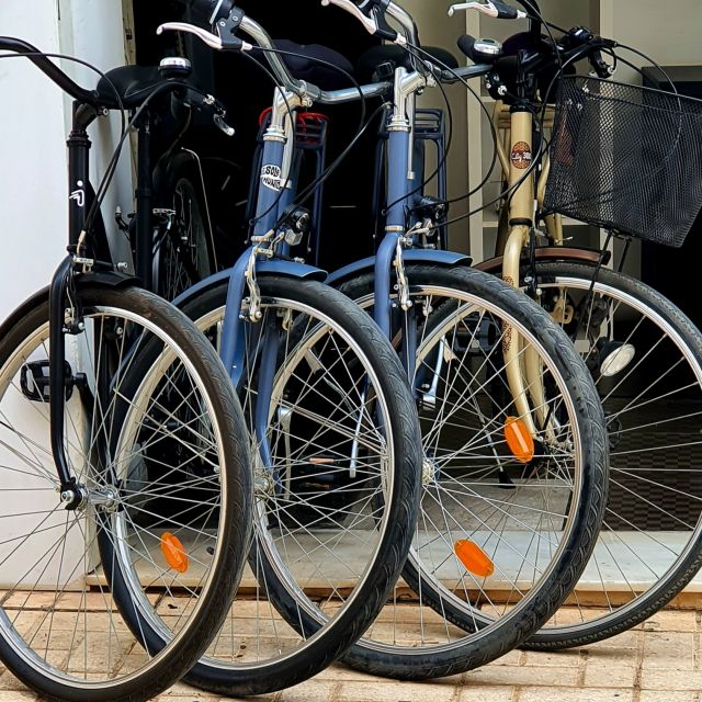 Malaga: Private Bike Rental - What the $12 Price Really Buys