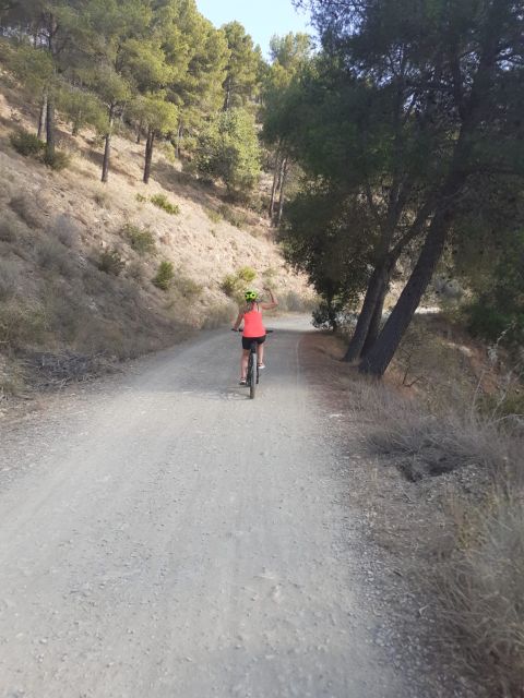 Málaga: Scenic Easy 3-Hour E-Bike Tour in Montes de Málaga - Climbing into Montes de Málaga Natural Park