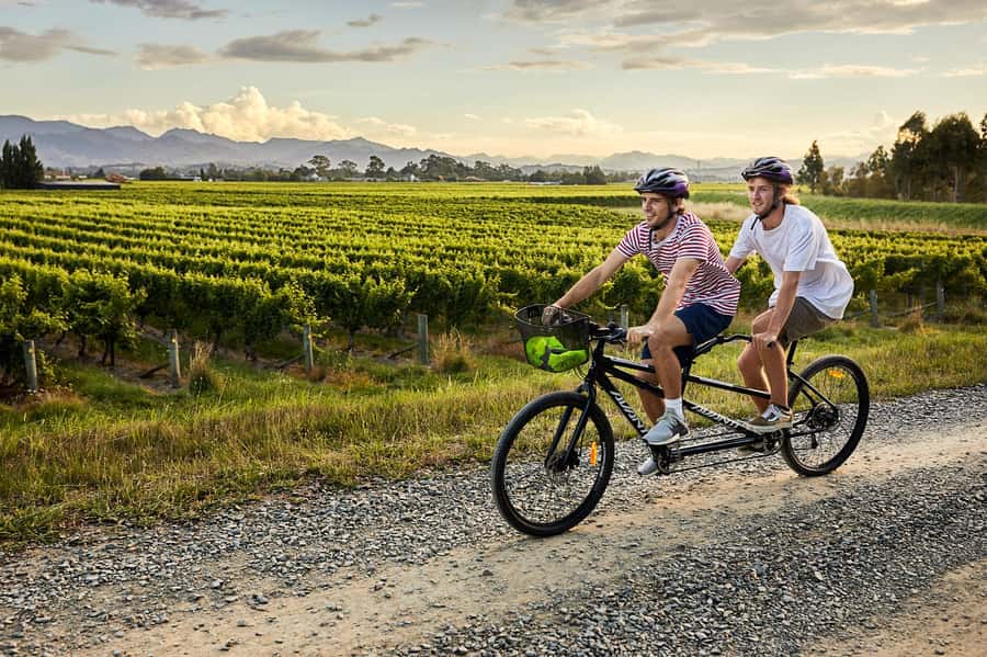 Marlborough: Full-Day Self-Guided Biking Wine Tour - Choosing from 12 nearby cellar doors