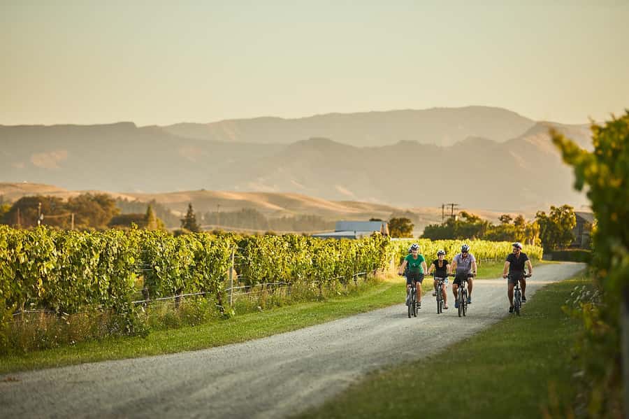 Marlborough: Full-Day Self-Guided Biking Wine Tour - The first ride: flat roads through Marlborough vineyards