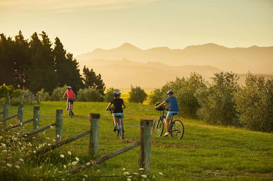 Marlborough: Half Guided and Half Self-Guided Bike Wine Tour - Why this two-part tour works in Marlborough