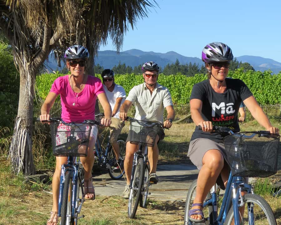 Marlborough: Half Guided and Half Self-Guided Bike Wine Tour - Morning riding through the vines