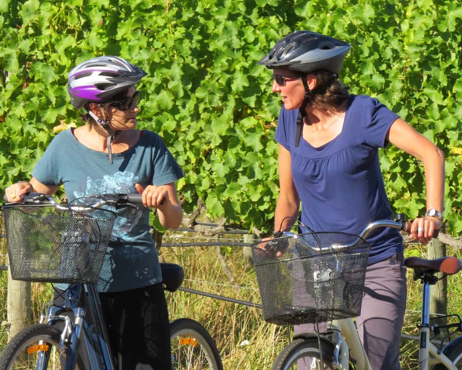 Marlborough: Half Guided and Half Self-Guided Bike Wine Tour - The 9:15 AM pickup and easy start