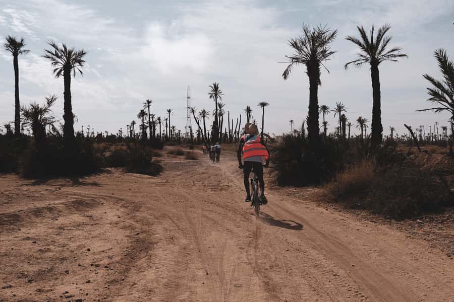 Marrakech: Cycling Tour in Palm Groove with Local Breakfast - Key points to know before you book