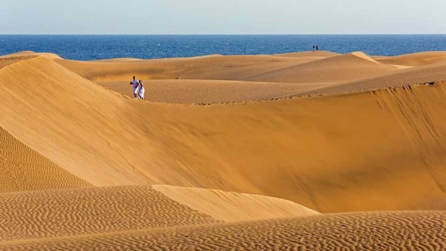 Maspalomas: Southern Coast E-Bike Tour Option Tapas Tasting - Quick take: what makes this ride worth considering