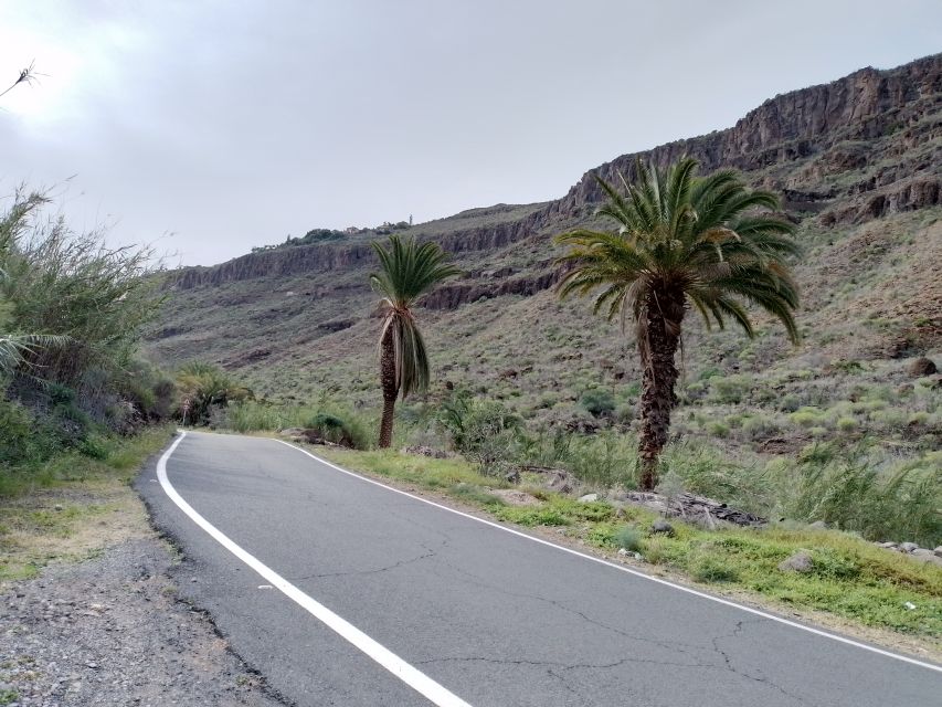 Maspalomas: Southern Coast E-Bike Tour Option Tapas Tasting - Botanical gardens and tropical plants