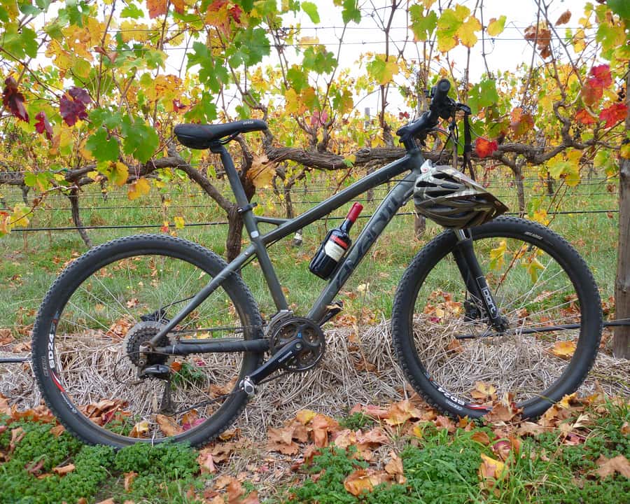 Mclaren Vale Hills Vines and Wines Bike Tour from Adelaide - Key points to know before booking