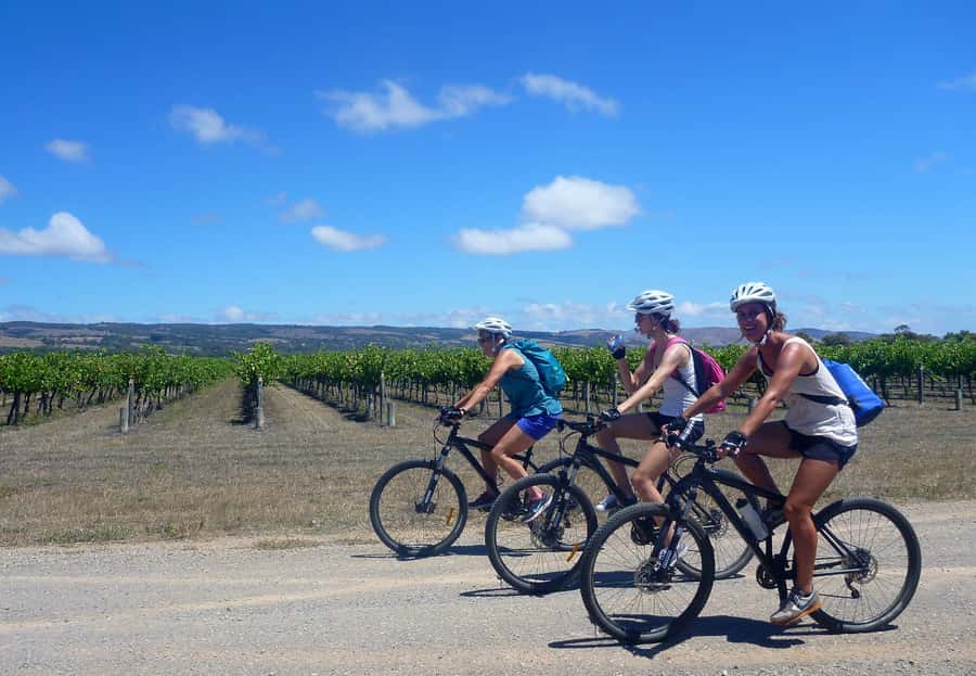 Mclaren Vale Hills Vines and Wines Bike Tour from Adelaide - Down Willunga Hill toward McLaren Vale