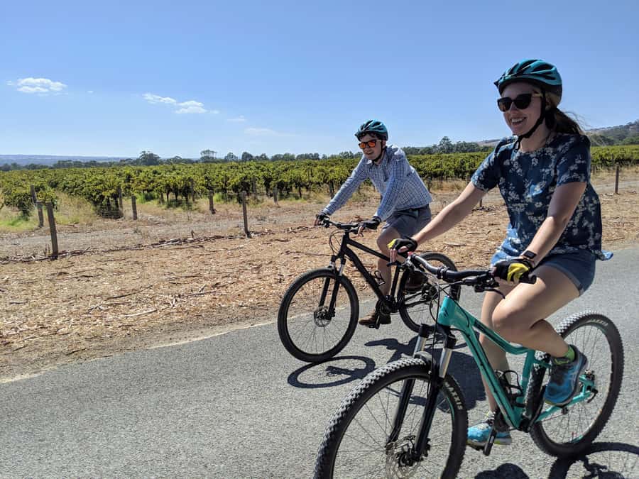 Mclaren Vale Hills Vines and Wines Bike Tour from Adelaide - Winery stops with room to taste and browse