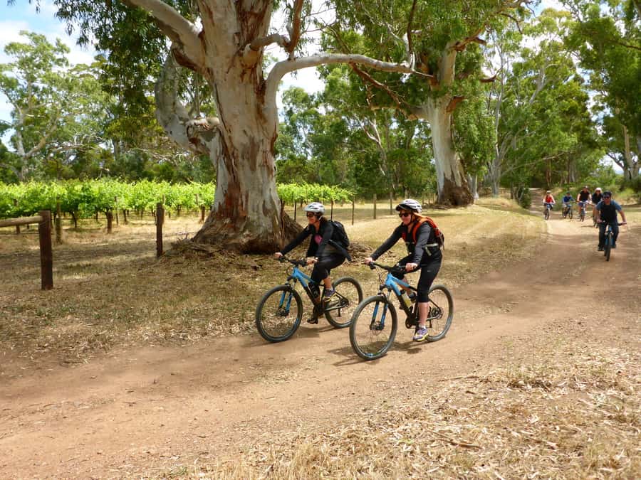 Mclaren Vale Hills Vines and Wines Bike Tour from Adelaide - A local produce platter for lunch