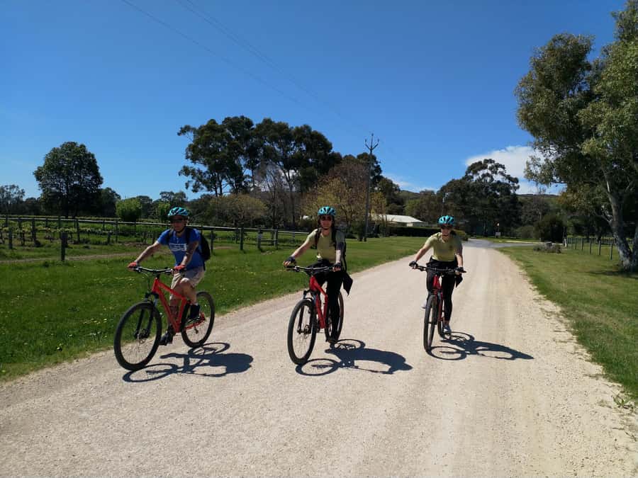 Mclaren Vale Hills Vines and Wines Bike Tour from Adelaide - Choosing the afternoon finish