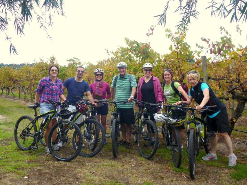 Mclaren Vale Hills Vines and Wines Bike Tour from Adelaide - Value, timing, and practical details