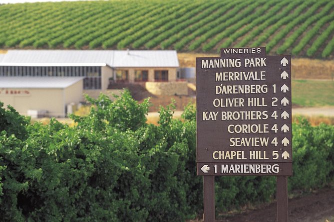 McLaren Vale Shiraz Trail Cycling Tour from Adelaide - Wirra Wirra Vineyards and the wine stops