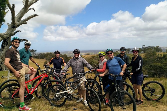McLaren Vale Wine Tour by Bike - Why this McLaren Vale day works so well