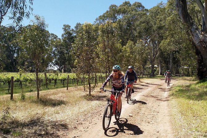 McLaren Vale Wine Tour by Bike - Lunch brings local produce to the table