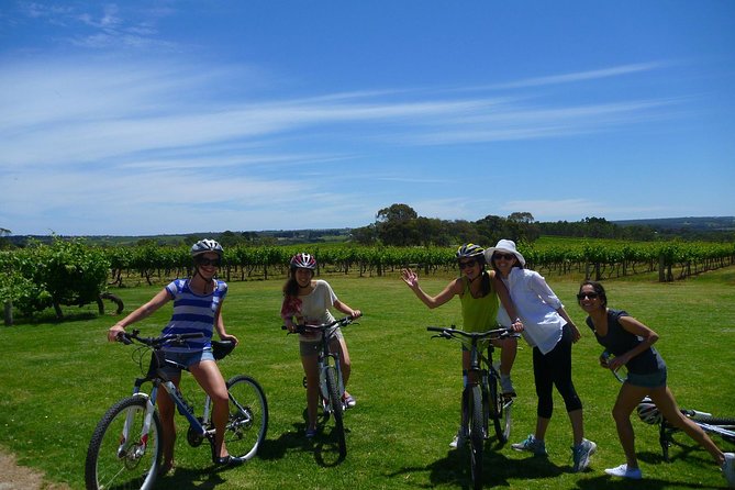 McLaren Vale Wine Tour by Bike - The final stop can include beer