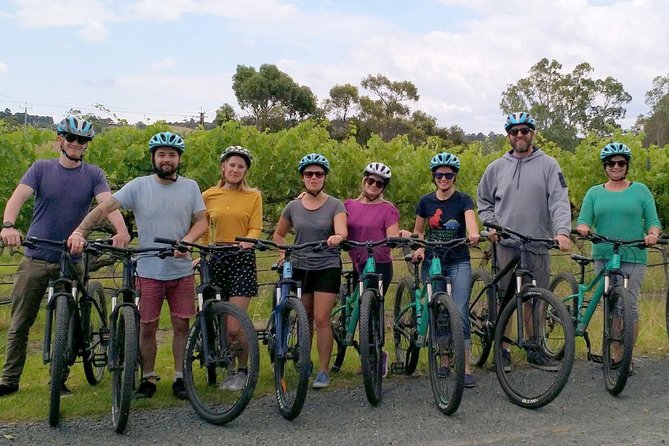 McLaren Vale Wine Tour by Bike - The guide makes or breaks the day