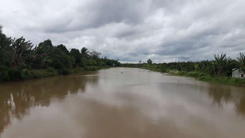 Mekong Day Tour by Car:Cai Be market, Local Island & Cycling - Walking or cycling through the village