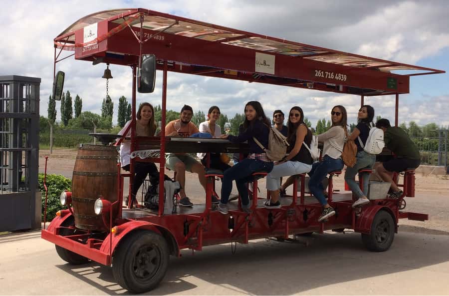 Mendoza: Winebike Tasting Tour with Optional Lunch - Starting at Carinae, one of Mendoza’s oldest active wineries