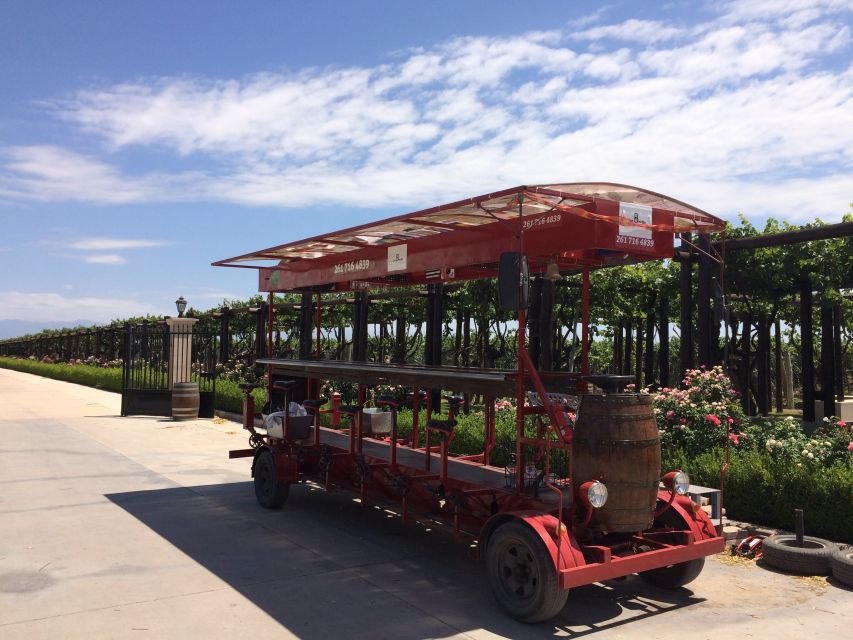 Mendoza: Winebike Tasting Tour with Optional Lunch - Who should book the Winebike experience
