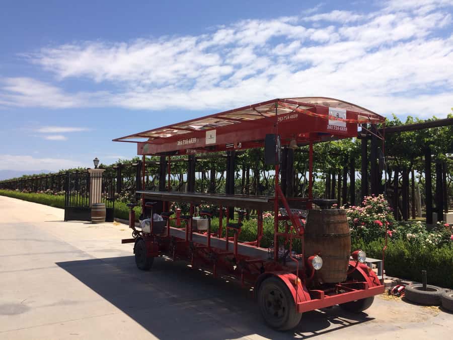 Mendoza: Winebike Tasting Tour with Optional Lunch - The multi-bike ride through the vineyard countryside