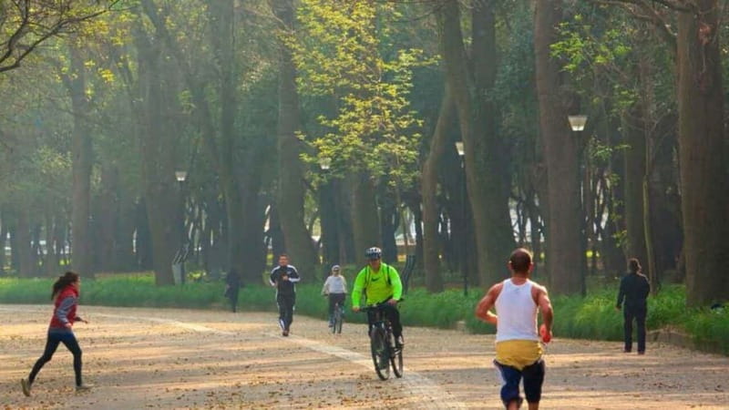 Mexico City: Private Chapultepec Park Bike Tour - Why Chapultepec Park works so well by bicycle