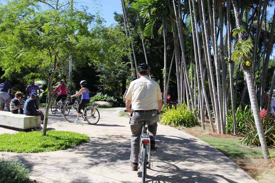 Miami: Bike Rental - Plan the day around your riding style