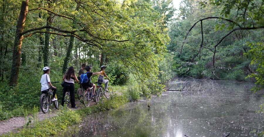 Milan: Bike Tour with Picnic on the turtle lake - Boscoincittà: the longest and most varied stop