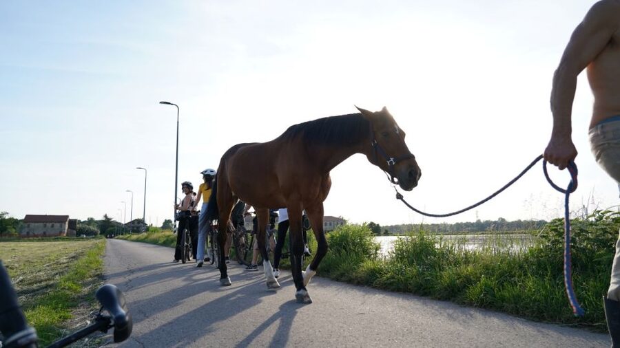 Milan: Bike Tour with Picnic on the turtle lake - Wildlife, local stories, and the guide’s role
