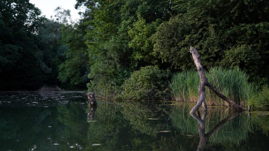 Milan: Bike Tour with Picnic on the turtle lake - Who will enjoy this ride most