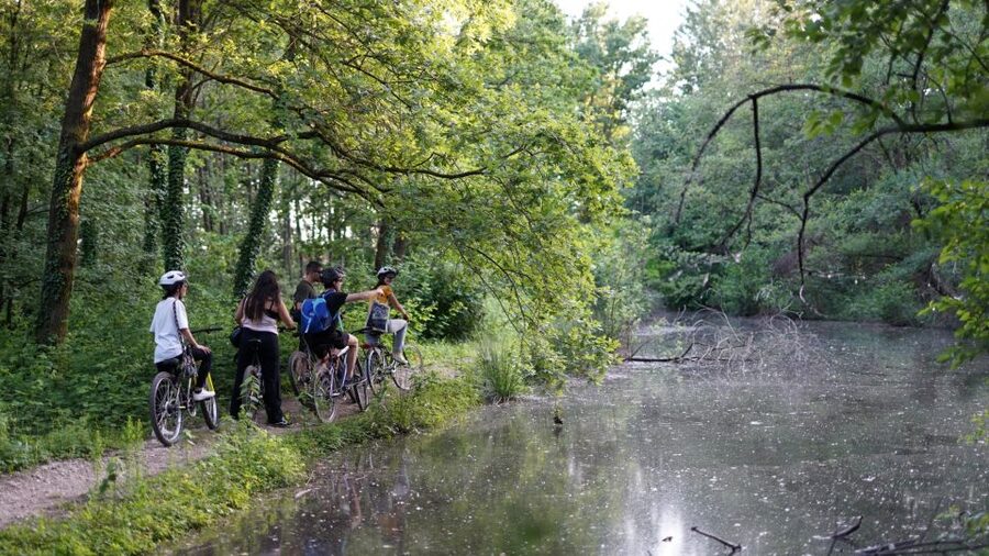 Milan: Bike Tour with Picnic on the turtle lake - Starting near San Siro and getting your bike